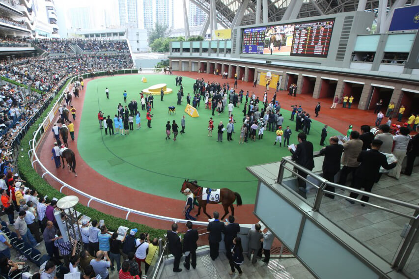 Sha tin racecourse.jpg