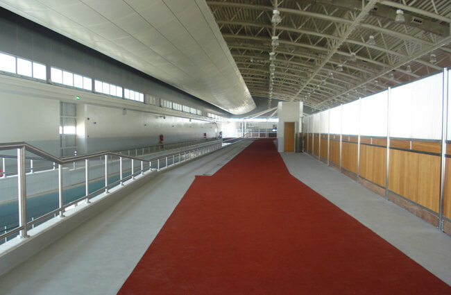 2-EquinePoolFlooring_Qatar.jpg